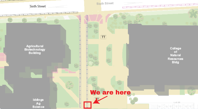 A map of the University campus with a red box around an area of the walkway down the left side of the College of Natural Resources Building. The words 'We are here' is typed in red.