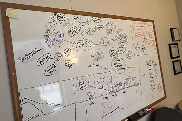 A whiteboard covered in writing that shows a series of connected bubbles, showing the steps of how the PEERS secondary-transition program works. 