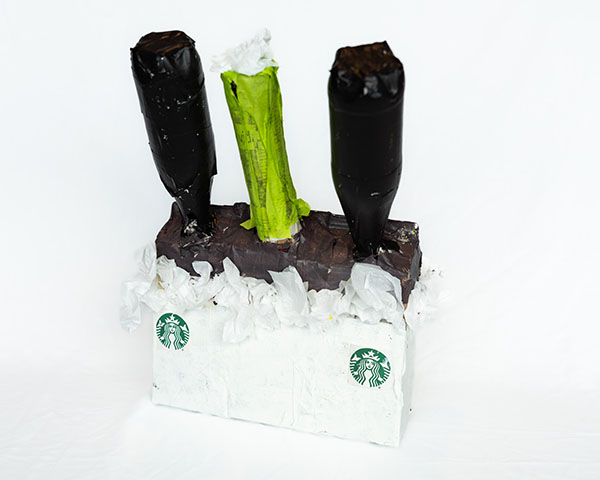 Mocha in Motion. Click to enlarge.