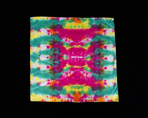 The Japanese Garden. Click to enlarge.