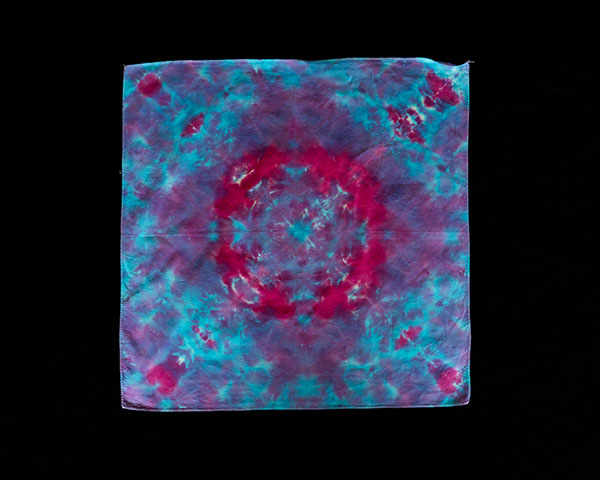 Rosemary. Click to enlarge.