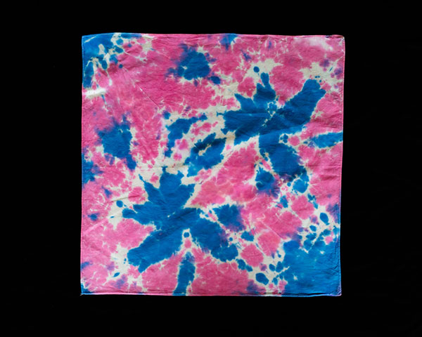 Squishy Paws. Click to enlarge.