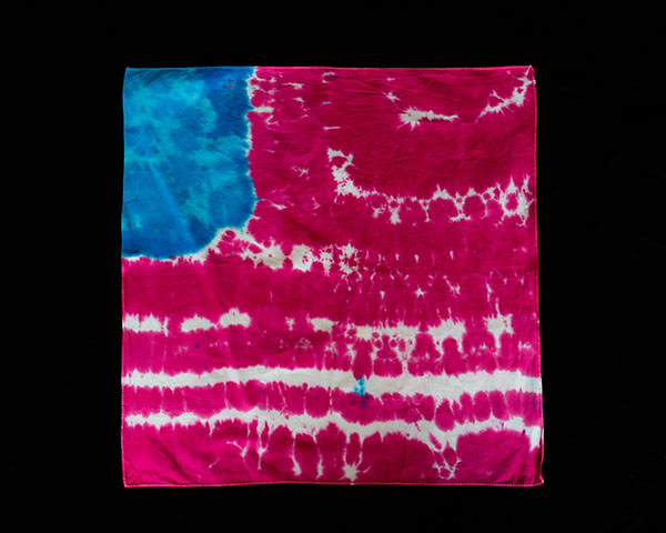 Two Jellyfish. Click to enlarge.